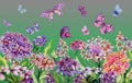 Summer wide banner. Beautiful vivid iberis flowers and colorful butterflies on green background. Horizontal template.