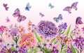 Summer wide banner. Beautiful vivid iberis flowers and colorful butterflies on pink background. Horizontal template. Royalty Free Stock Photo
