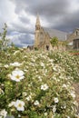 Summer wild flowers, with a slightly out of focus church steeple and stormy sky Royalty Free Stock Photo