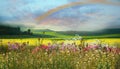 Summer wild meadow field with flowers and grass blue cloudy sky nature landscape Royalty Free Stock Photo
