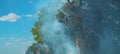 Summer wildfire smoke in the woods Royalty Free Stock Photo