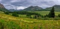 Summer wildflower meadow in the scenic valley near Crested Butte, Colorado