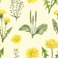 Summer wildflower seamless pattern. Watercolor dandelion flowers and green herbs, weed on pale yellow background. Floral botanical Royalty Free Stock Photo