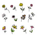 Summer wildflowers collectoin in simple doodle style. Perfect for tee, stickers, poster, card. Isolated vector illustration for