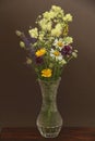 Summer wildflowers in a crystal vase. A beautiful summer bouquet on a dark background. Chamomile, wild onion, Veronica long-leaved Royalty Free Stock Photo