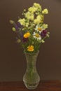 Summer wildflowers in a crystal vase. A beautiful summer bouquet on a dark background. Chamomile, wild onion, Veronica long-leaved Royalty Free Stock Photo