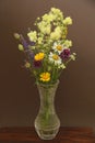 Summer wildflowers in a crystal vase. A beautiful summer bouquet Royalty Free Stock Photo