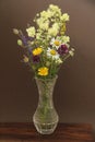 Summer wildflowers in a crystal vase. A beautiful summer bouquet Royalty Free Stock Photo