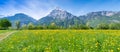 Swiss meadows Royalty Free Stock Photo