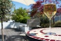 Summer wine on sunny terrace