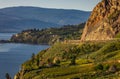 Summer Winery view of Kelowna vineyards surrounding Lake Okanagan with mountains. Sunrise in Kelowna