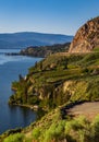 Summer Winery view of Kelowna vineyards surrounding Lake Okanagan with mountains. Sunrise in Kelowna Royalty Free Stock Photo