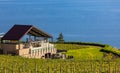 Summer Winery view of Kelowna vineyards surrounding Lake Okanagan with mountains. Sunrise in Kelowna Royalty Free Stock Photo