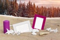 Summer and winter collage with two photo frames on the beach sand and snow forest background