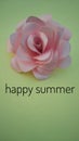 Summer wishes image walpapper