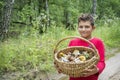 In the summer in the woods a little boy collected a basket of mu Royalty Free Stock Photo