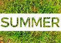 Summer word cut white background on sunshine green grass.