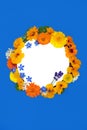 Summer Wreath of Healing Flowers and Herbs Royalty Free Stock Photo