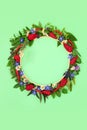 Summer Wreath of Natural Flower Food and Herb Spice Seasoning Royalty Free Stock Photo
