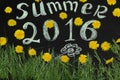 Summer 2016 in the yellow dandelions