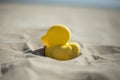 Summer yellow duck beach toy affix in the dry sand. Selective focus.