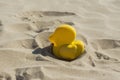 Summer yellow duck beach toy affix in the dry sand. Selective focus.