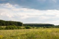 Summer yellow and green field, blue sunny sky for background Royalty Free Stock Photo