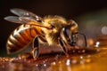 yellow macro nature gold animal insect bee pollen closeup background honey. Generative AI. Royalty Free Stock Photo