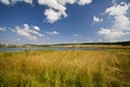 Summer yellow meadow and small lake