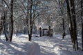 Summerhouse in winter park Royalty Free Stock Photo