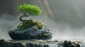 Summerl view of an old pine tree standing on the rock cliff against mountain in background Royalty Free Stock Photo