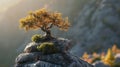 Old pine tree standing on the rock cliff against mountain in the background Royalty Free Stock Photo