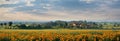 A summers day: sunflower fields stretch to a quaint village on the horizon Royalty Free Stock Photo