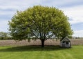 Summers day tree and dog house Royalty Free Stock Photo