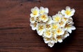 Summers floral heart with flowers Royalty Free Stock Photo