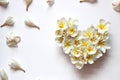 Summers floral heart with flowers Royalty Free Stock Photo