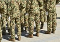 Soldiers standing in a row at the military parade Royalty Free Stock Photo