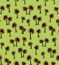 Palm tree. Vector drawing