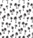 Palm tree. Vector drawing