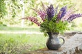 Summertime background with colorful lupine blossoms in ceramic vase of black pottery