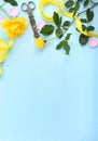 Summertime background with decorated borders. Royalty Free Stock Photo