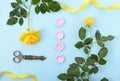 Summertime background with decorated borders. Royalty Free Stock Photo