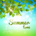 Summertime background with fresh green leaves