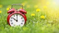 Summertime banner - alarm clock and dandelion flowers Royalty Free Stock Photo