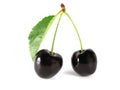 Summertime: black cherry