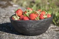 Summertime closeup of unique handmade black bowl of clay and fresh strawberries