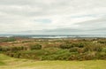 Summertime coastal land in Poole, Dorset, UK.