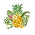 Summertime composition with exotic tropical plants, leaves, flowers and fresh pineapple, isolated on white background. Royalty Free Stock Photo