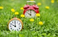 Summertime - clocks and flowers in the grass Royalty Free Stock Photo