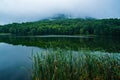 A Foggy View of reeds by Abbott Lake, Peaks of Otter Royalty Free Stock Photo